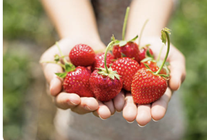 Skjermbilde 2025-11-12 kl. 13.17.47 2